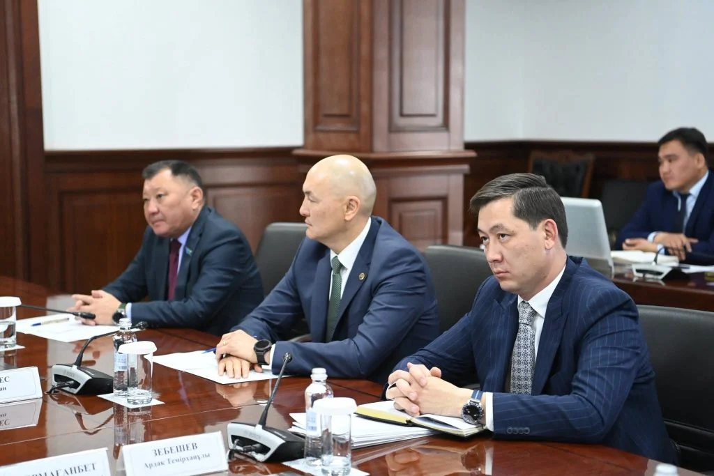 Міндетті әлеуметтік-медициналық сақтандыру және көлеңкелі экономиканы төмендету мәселелері талқыланды.