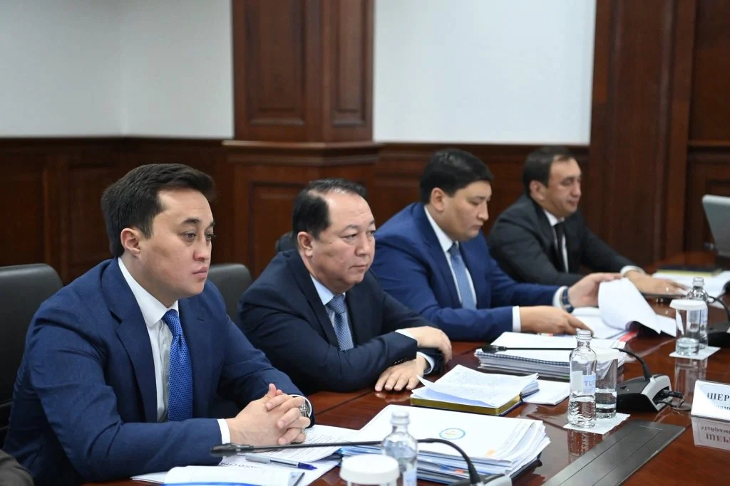 Міндетті әлеуметтік-медициналық сақтандыру және көлеңкелі экономиканы төмендету мәселелері талқыланды.
