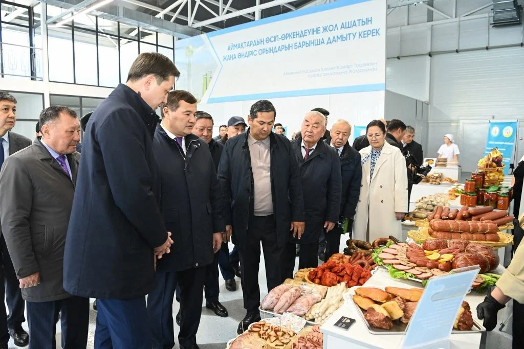 Қызылордада «Тұмар» шағын өнеркәсіптік аймағы ашылды