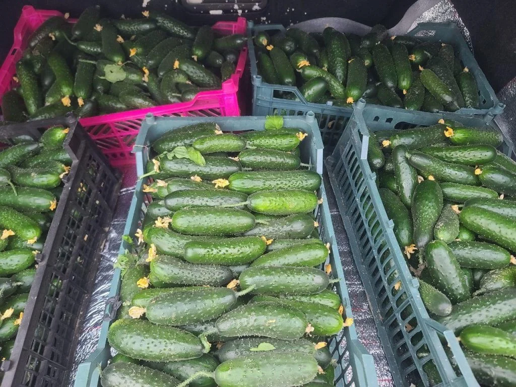 Мемлекеттік бағдарламаға иек артқан ақсуаттықтар