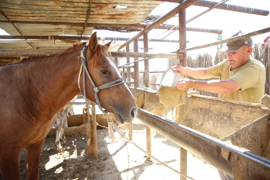 Кәсібімен көркейген Қызылөзек