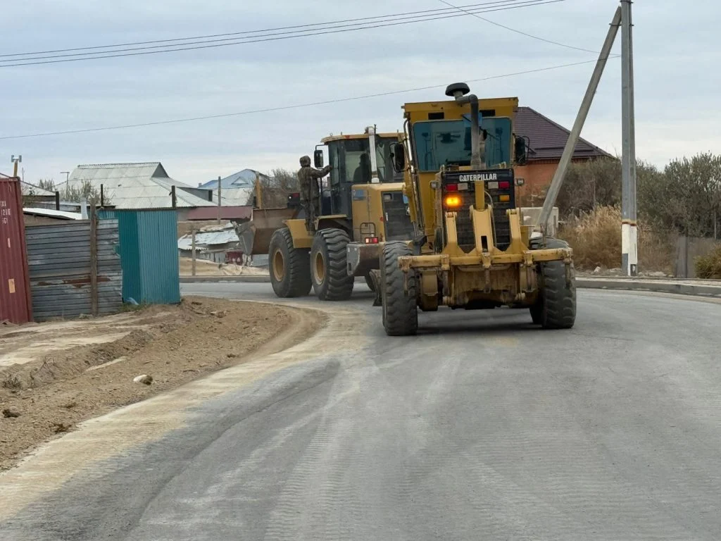 Мемлекеттік бағдарламаға иек артқан ақсуаттықтар