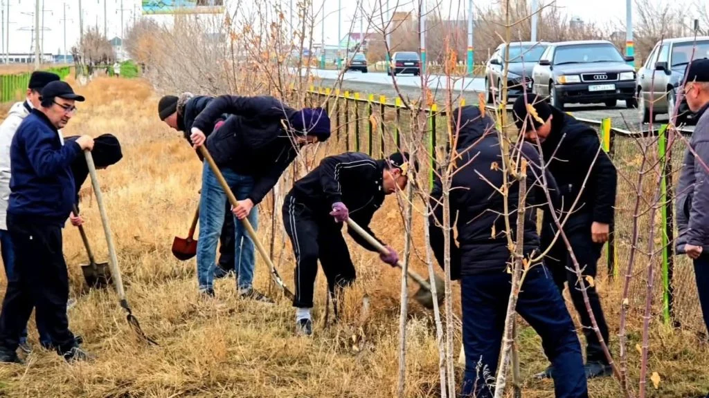 Өңірде тазалық шаралары жалғасуда