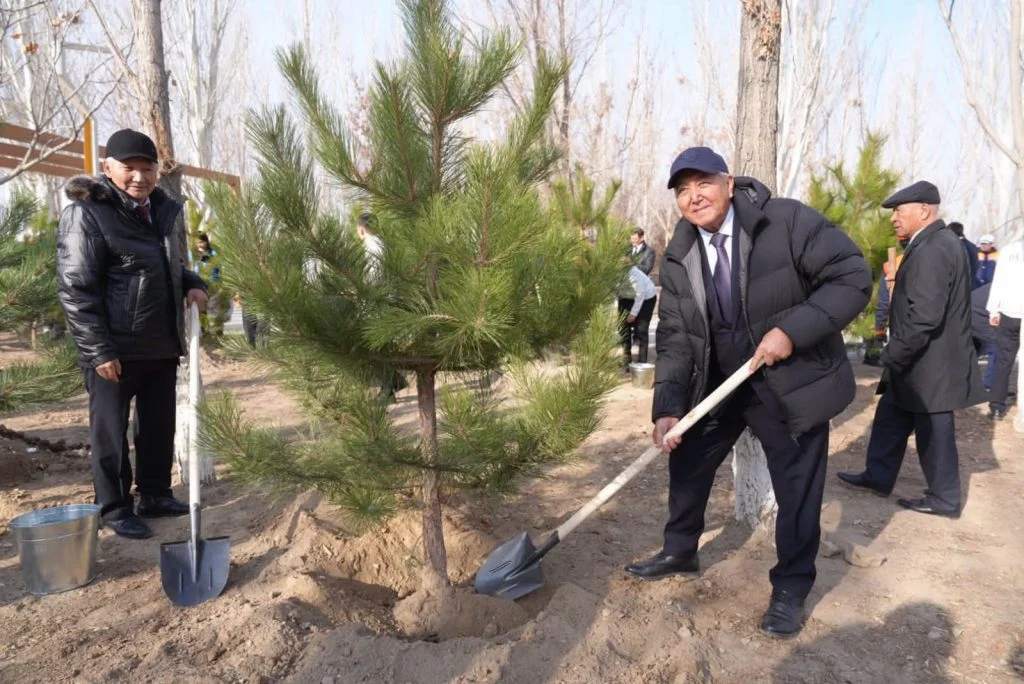 Ардагерлер «Таза Қазақстан» бағдарламасы аясындағы тал егу рәсіміне қатысты