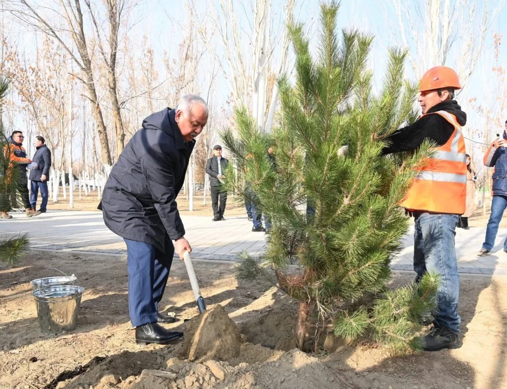 Ардагерлер «Таза Қазақстан» бағдарламасы аясындағы тал егу рәсіміне қатысты