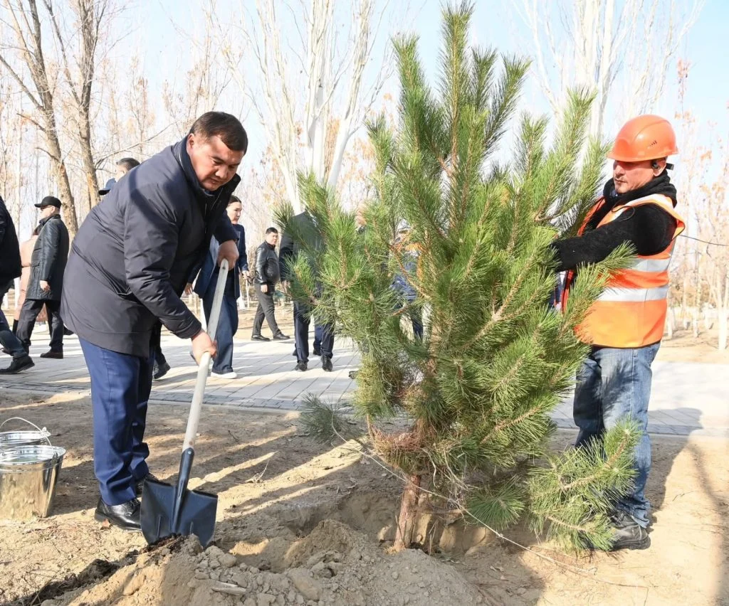 Ардагерлер «Таза Қазақстан» бағдарламасы аясындағы тал егу рәсіміне қатысты