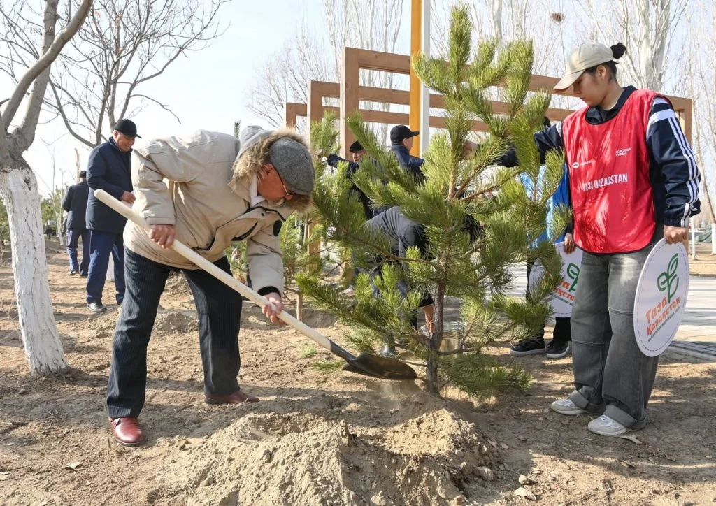 Ардагерлер «Таза Қазақстан» бағдарламасы аясындағы тал егу рәсіміне қатысты