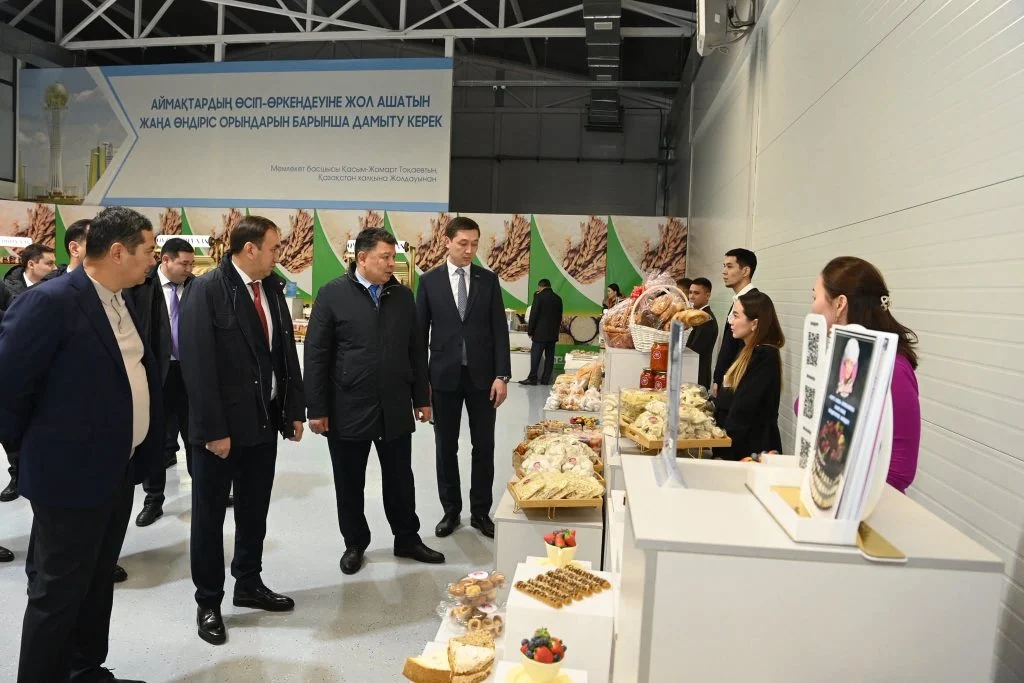 Үкімет басшысының орынбасары «Тұмар» шағын өнеркәсіптік аймағының жұмысымен танысты