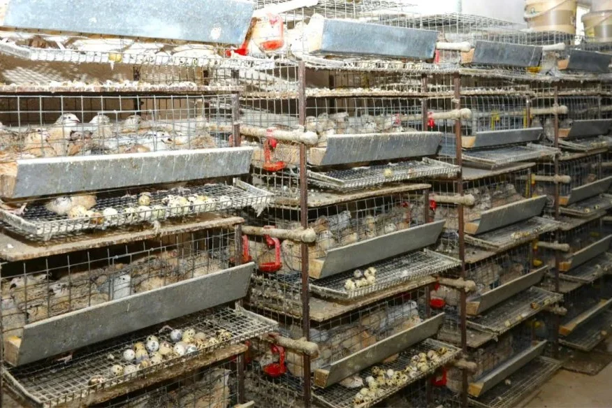 Еңбекке жұмылған ауыл