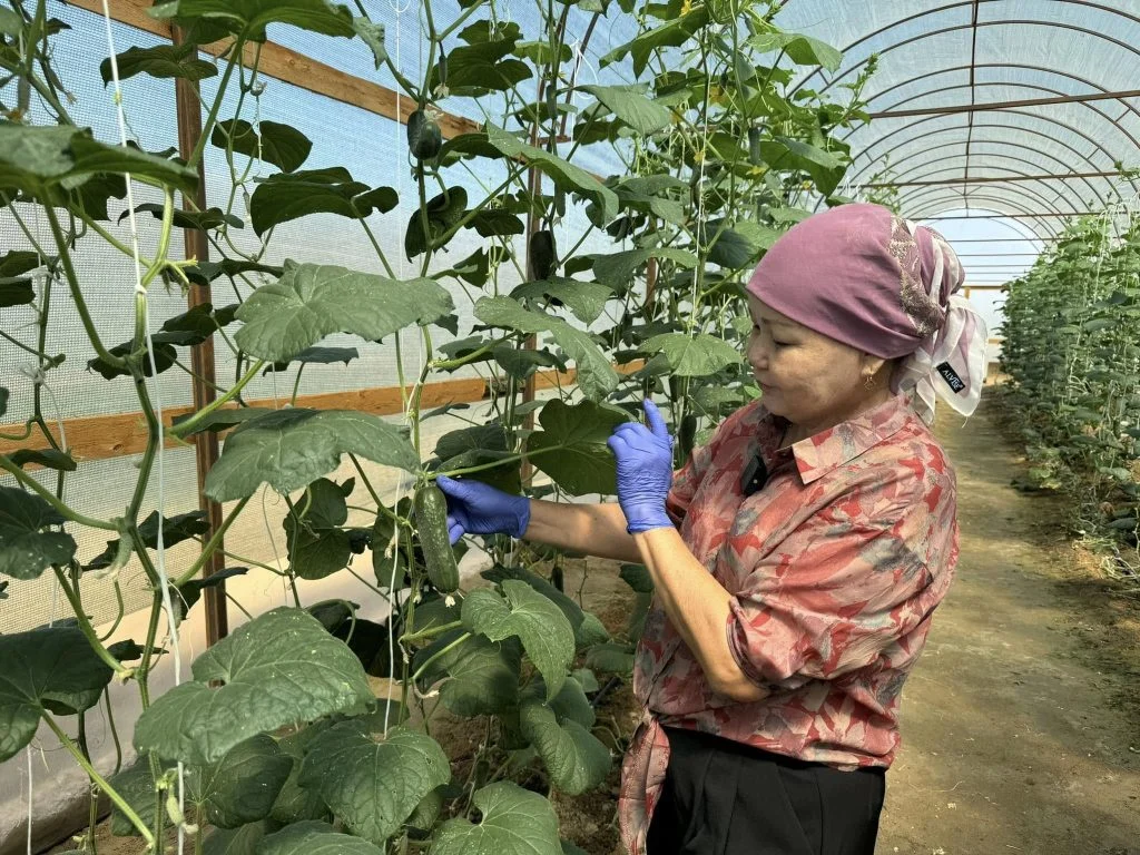 Еңбекке жұмылған ауыл