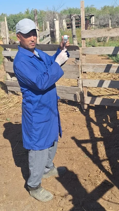 Мал саулығы – ел саулығы