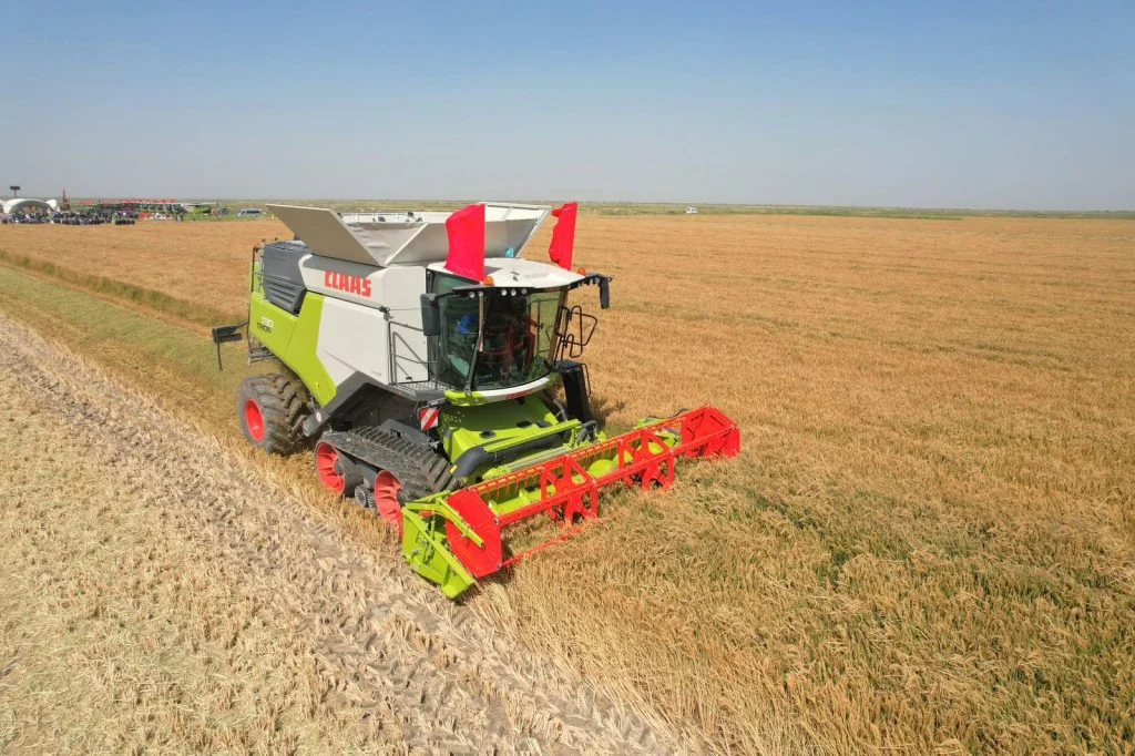 Сыр өңіріндегі егіс алқаптары әртараптандырылуда