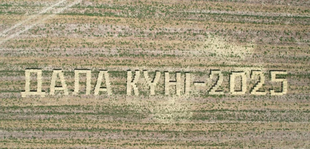 Сыр өңіріндегі егіс алқаптары әртараптандырылуда