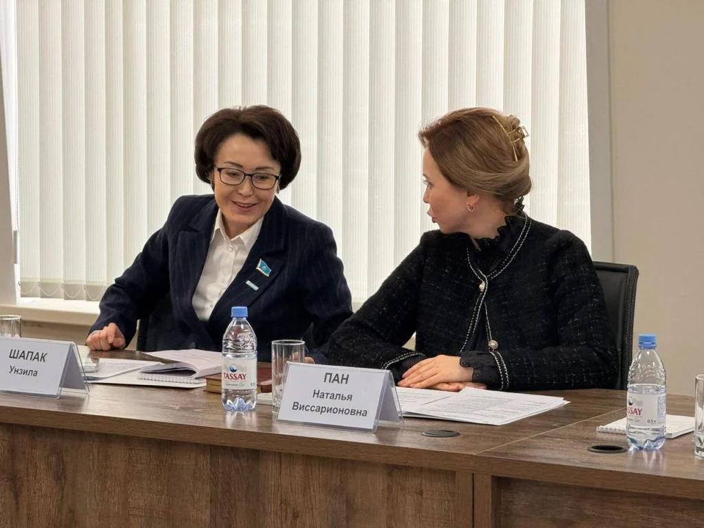 Парламентаризм институтының сарапшылары жаңа конституция жобасына қолдау білдірді