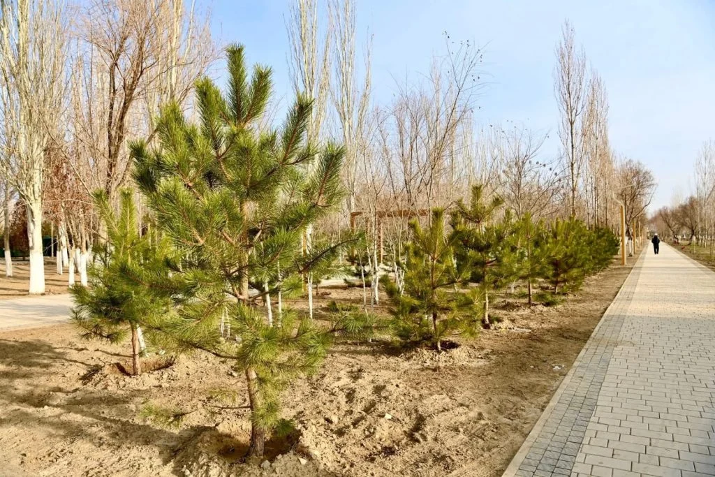 Құрылыс алаңдарындағы және қайта жаңғырту жұмыстарының барысын көрді