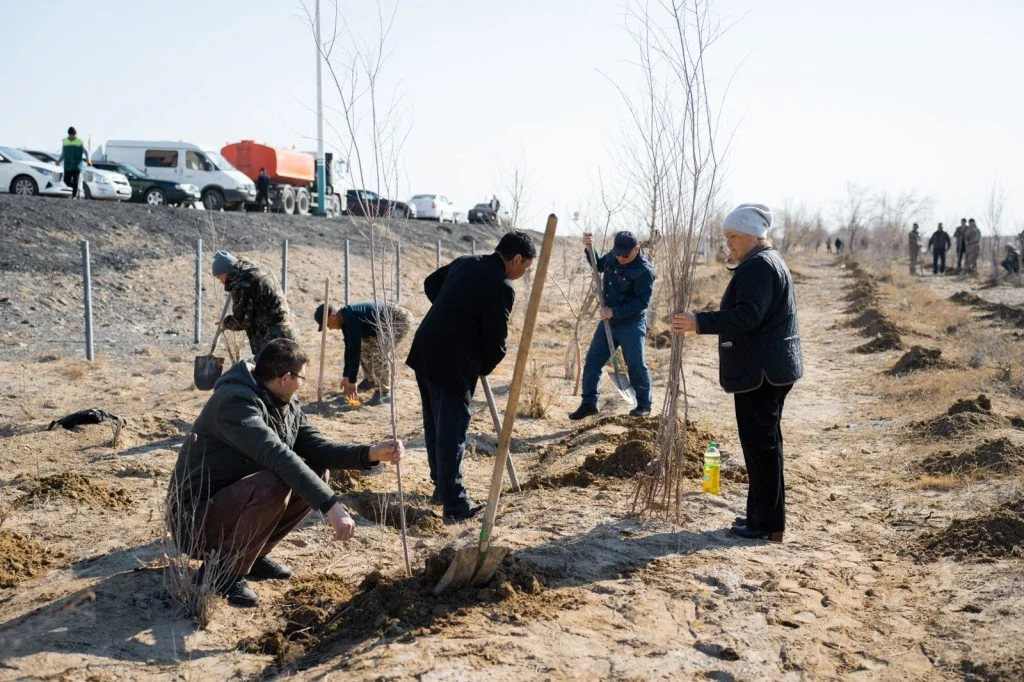 Қызылордада «Таза Қазақстан» акциясы аясында мыңдаған ағаш көшеттері отырғызылды