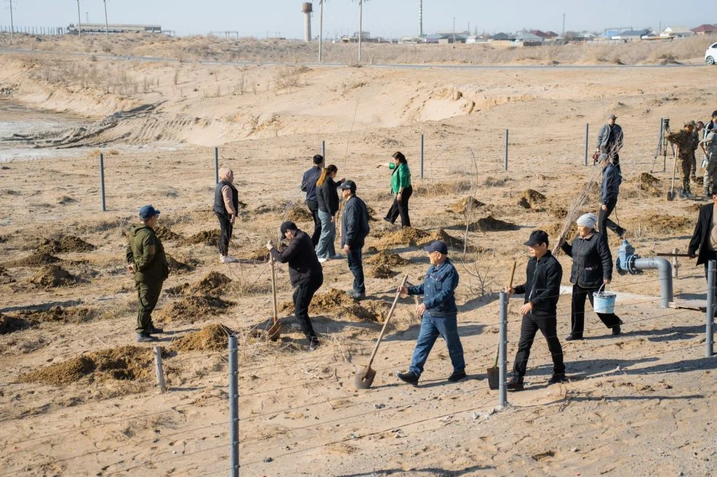 Қызылордада «Таза Қазақстан» акциясы аясында мыңдаған ағаш көшеттері отырғызылды