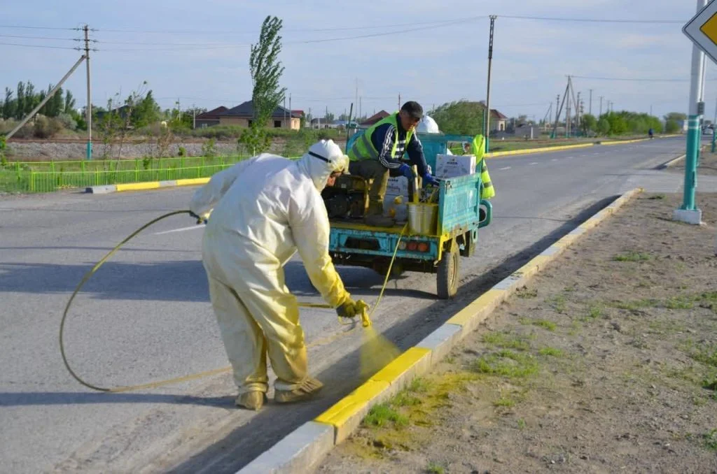 «Таза аула» ауқымды экологиялық акциясы өтті