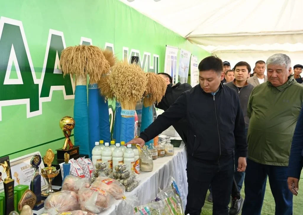 Сыр өңірінде егін алқабына алғашқы дән себілді