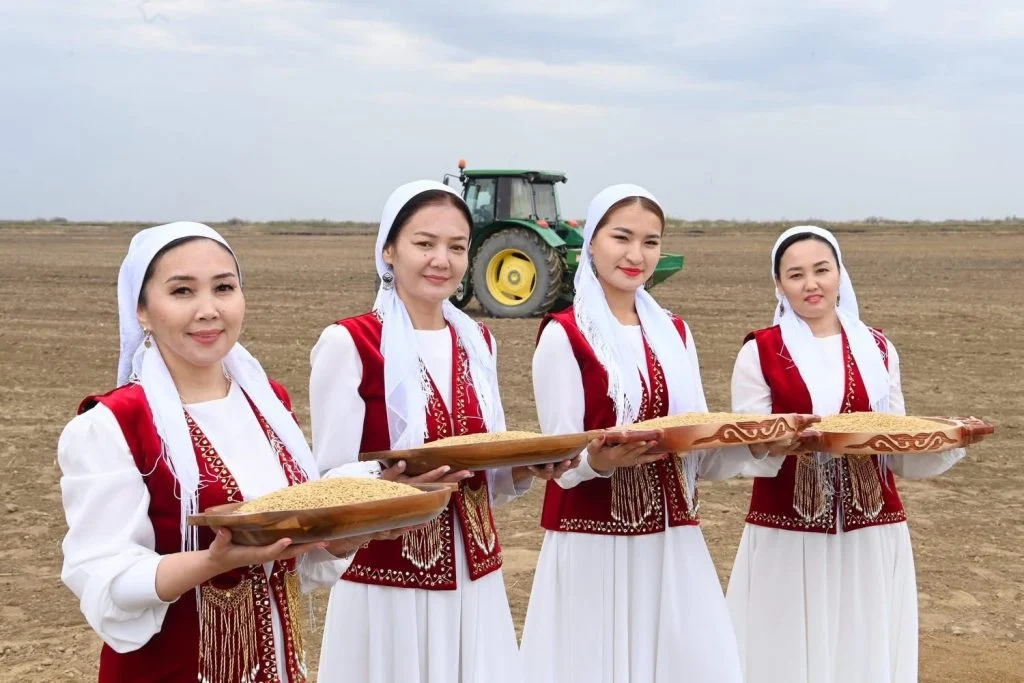 Сыр өңірінде егін алқабына алғашқы дән себілді