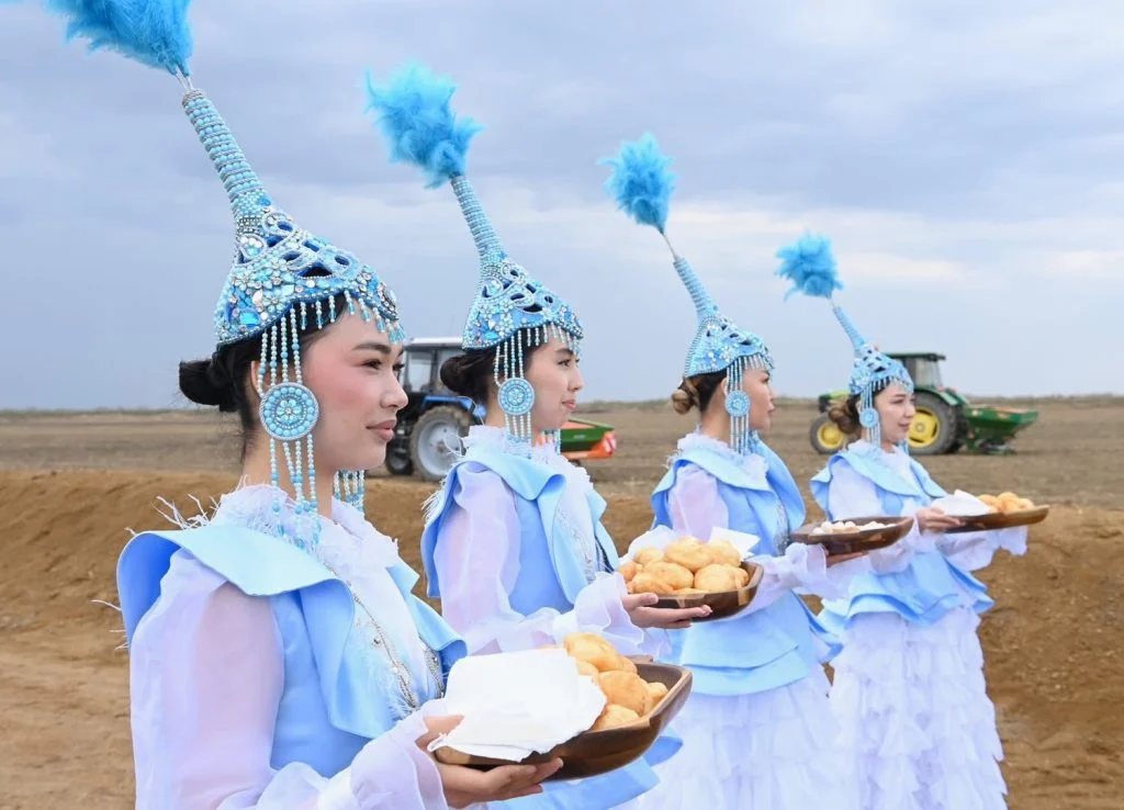 Сыр өңірінде егін алқабына алғашқы дән себілді