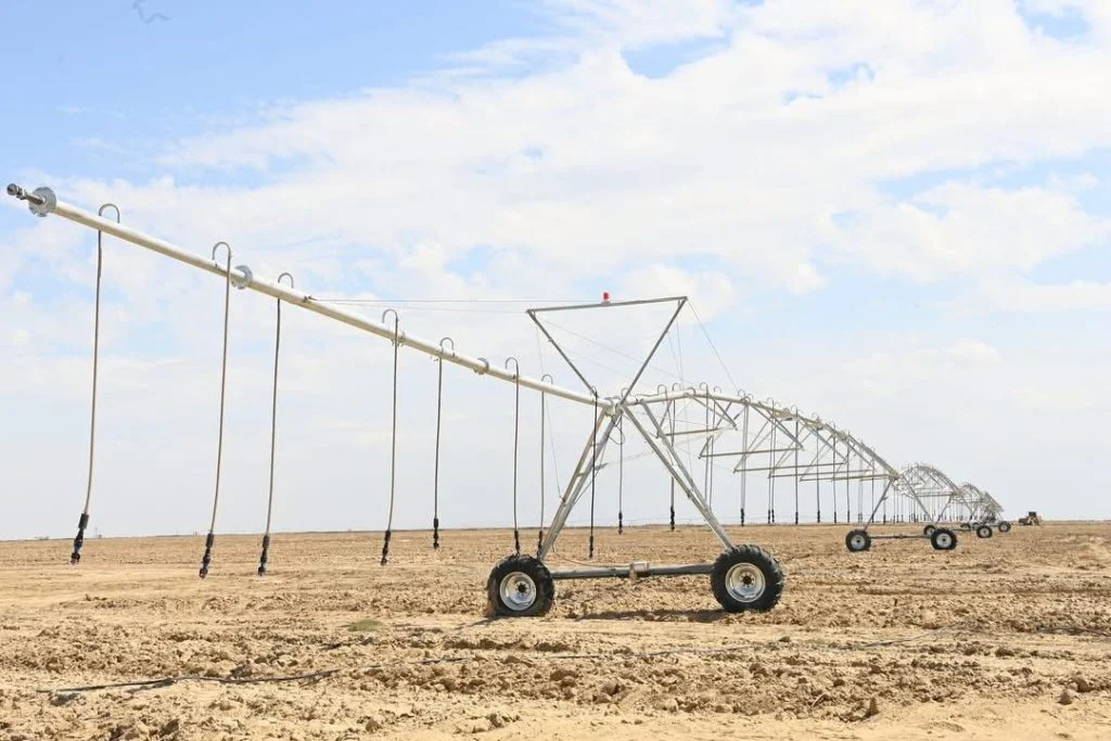 Аймақта Harvest Agro агроиндустриалды кластерін құру жобасының бірінші кезеңі басталды