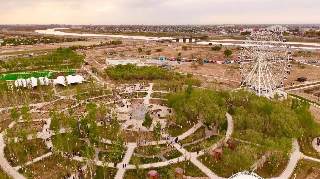 «Таза Қазақстан»: Қызылорда облысында 12 000 тал егілді