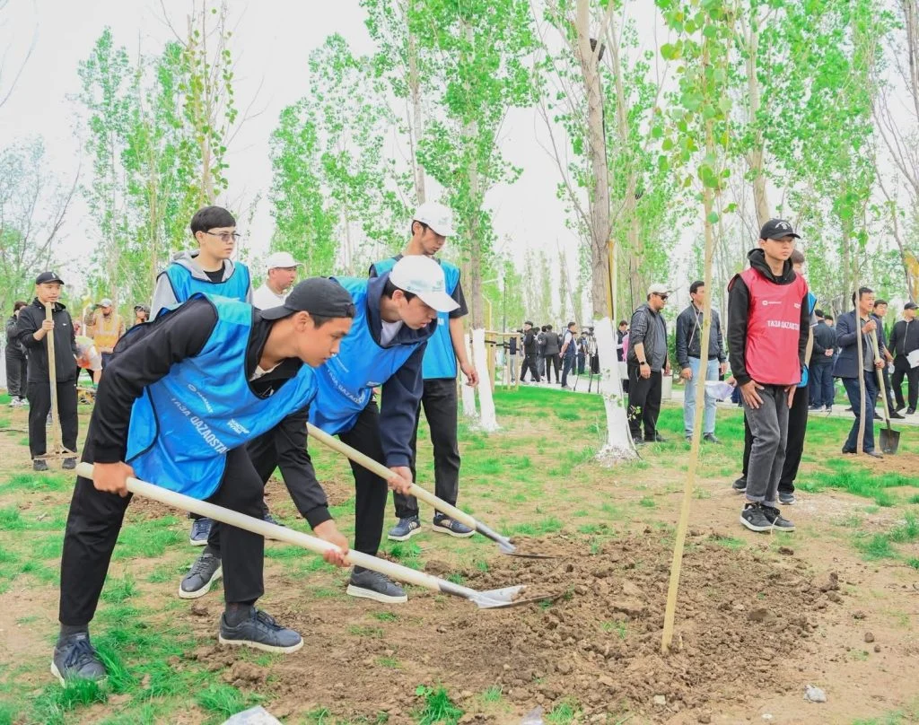 «Таза Қазақстан»: Қызылорда облысында 12 000 тал егілді
