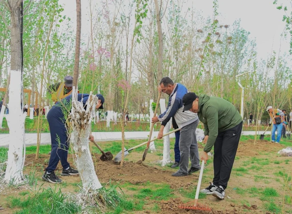 «Таза Қазақстан»: Қызылорда облысында 12 000 тал егілді