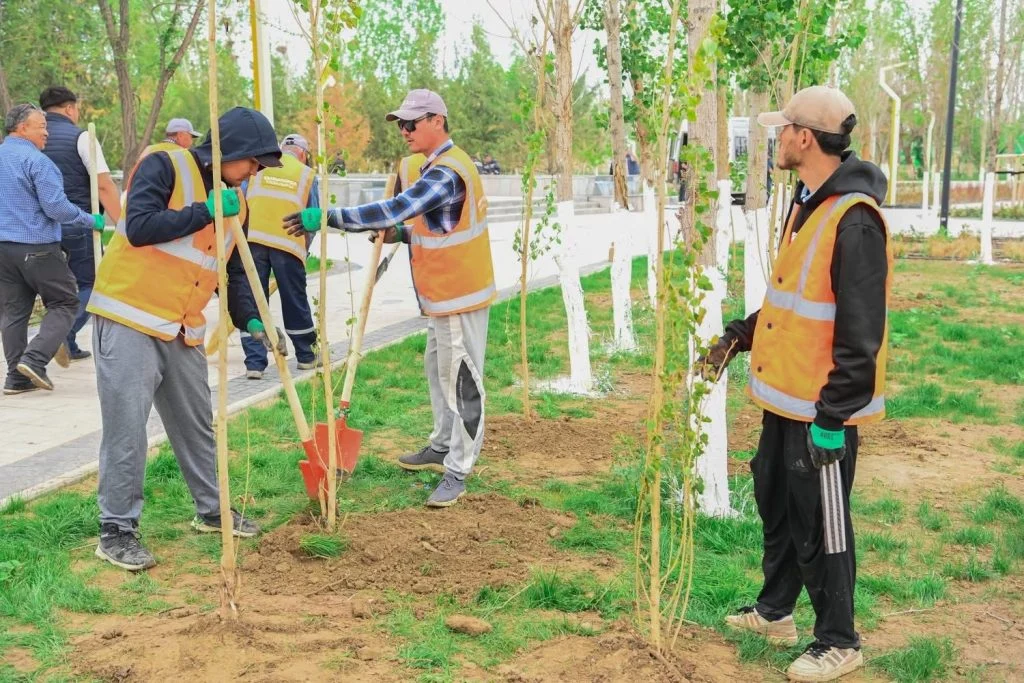 «Таза Қазақстан»: Қызылорда облысында 12 000 тал егілді