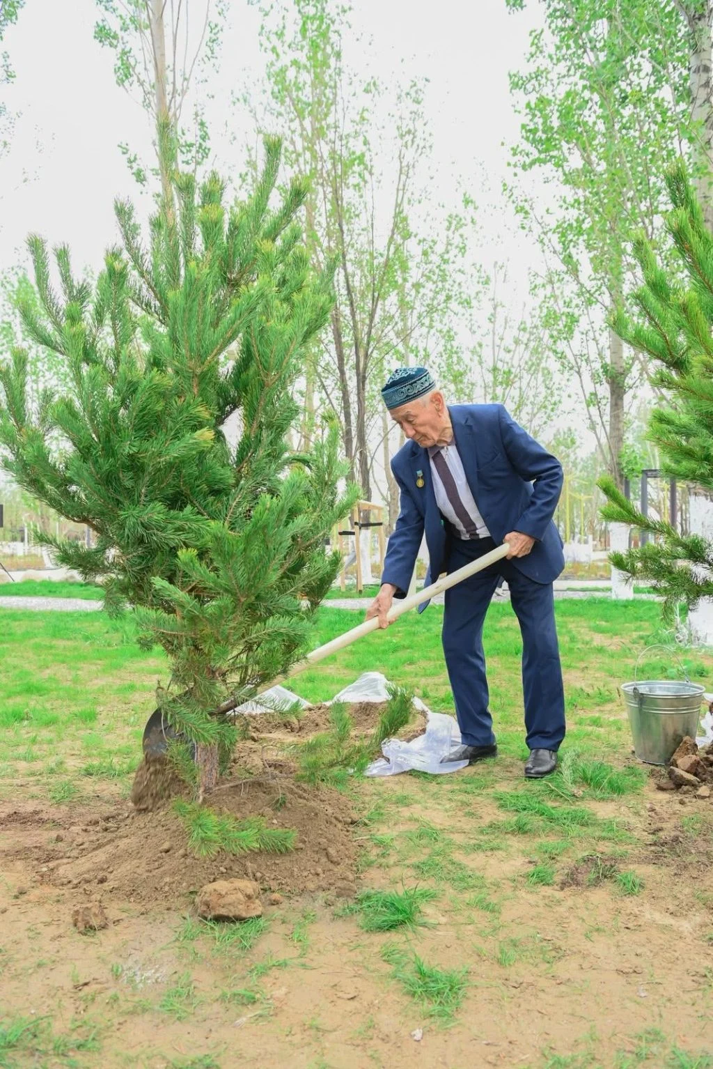 «Таза Қазақстан»: Қызылорда облысында 12 000 тал егілді