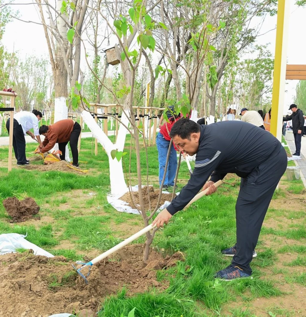 «Таза Қазақстан»: Қызылорда облысында 12 000 тал егілді
