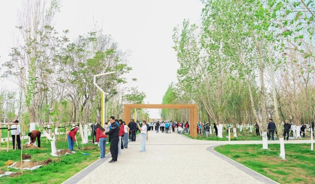 «Таза Қазақстан»: Қызылорда облысында 12 000 тал егілді