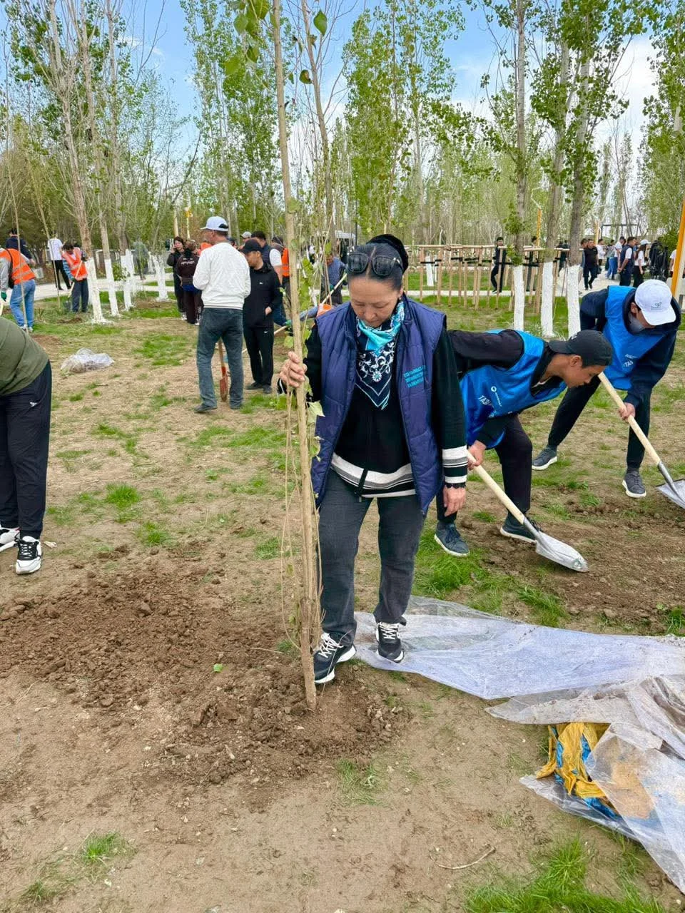 «Таза Қазақстан» аясында Президент паркінде кең көлемді сенбілік өтті