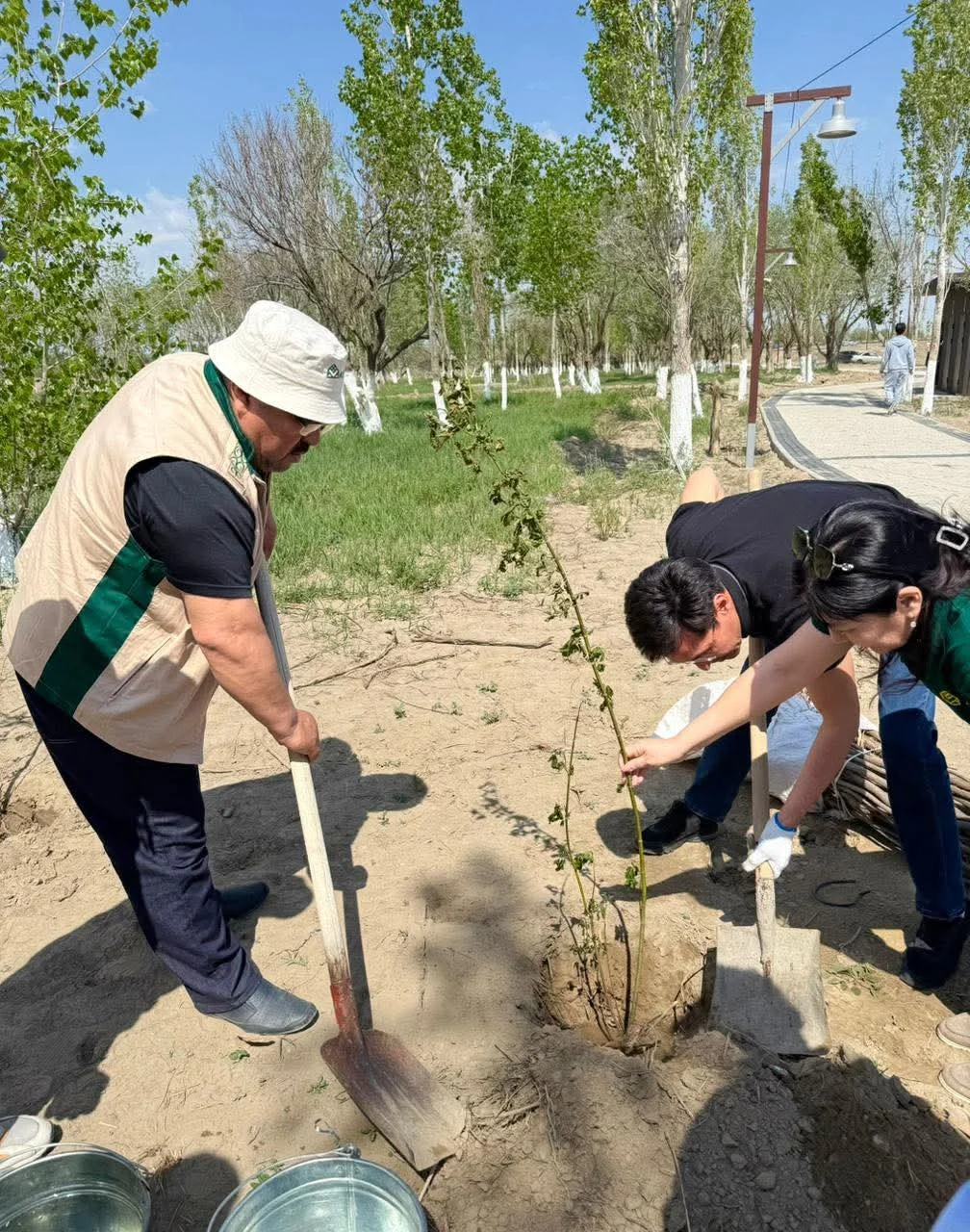 «Таза Қазақстан» аясында Президент паркінде кең көлемді сенбілік өтті