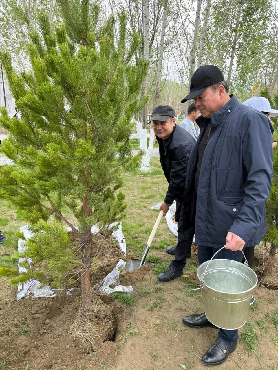 «Таза Қазақстан» аясында Президент паркінде кең көлемді сенбілік өтті