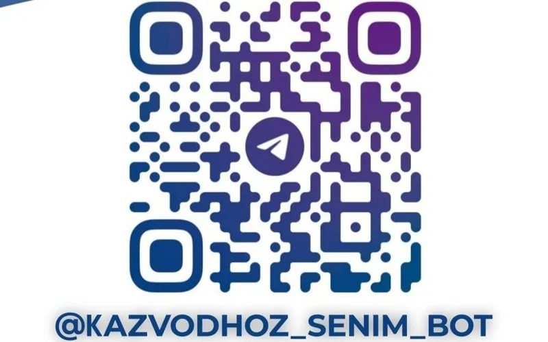 Қазақстанда судың «қара нарығына» қарсы анонимді чат-бот іске қосылды