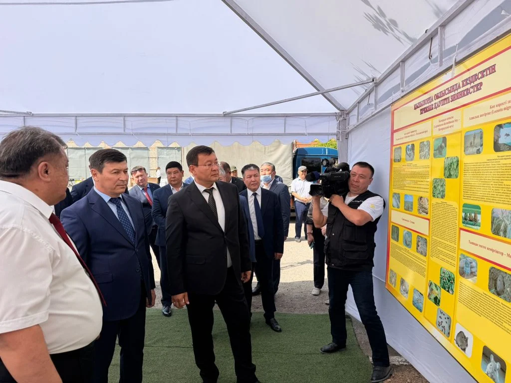Шегіртке зиянкестеріне қарсы күрес жұмыстарының дайындық барысы қаралды