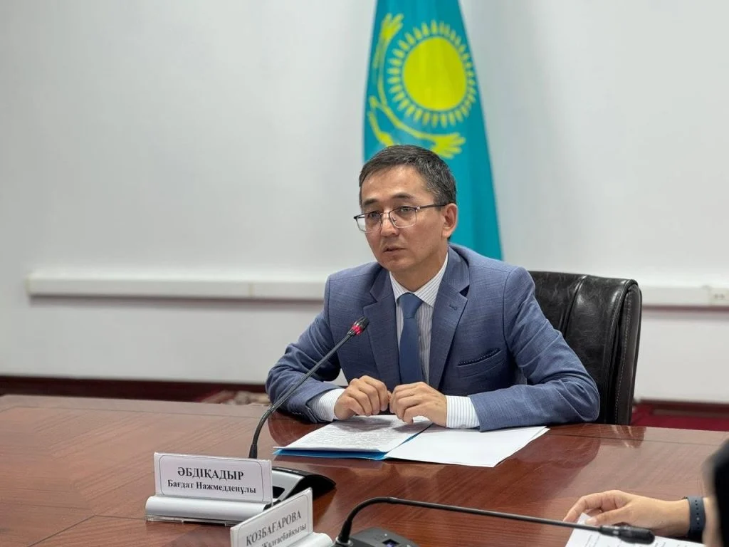 Мемлекеттік қызметтегі шектеулер түсіндірілді