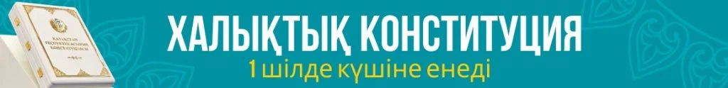 Конституция