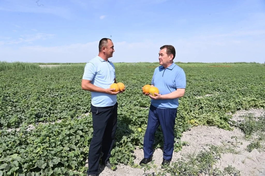 Заманауи техника өндіріс тиімділігін арттырады