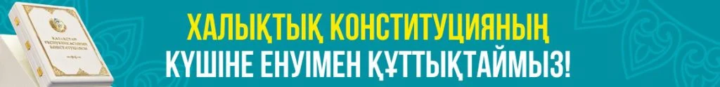 Конституция
