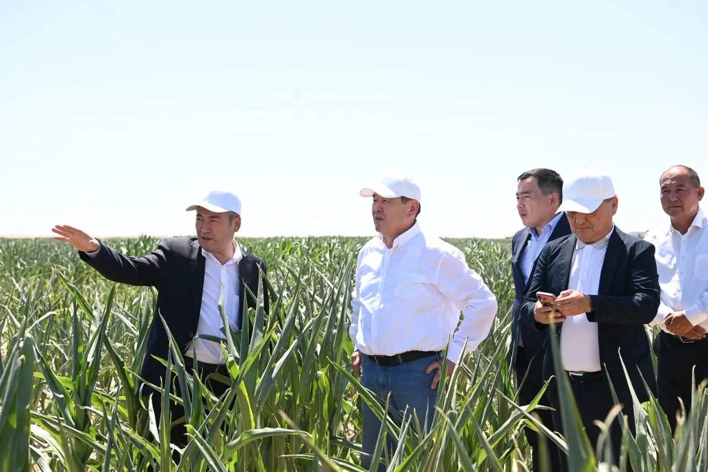 Жалағашта «Harvest Agro» компаниясының агроөнеркәсіптік кластер жобасы қарқынды жүзеге асырылуда