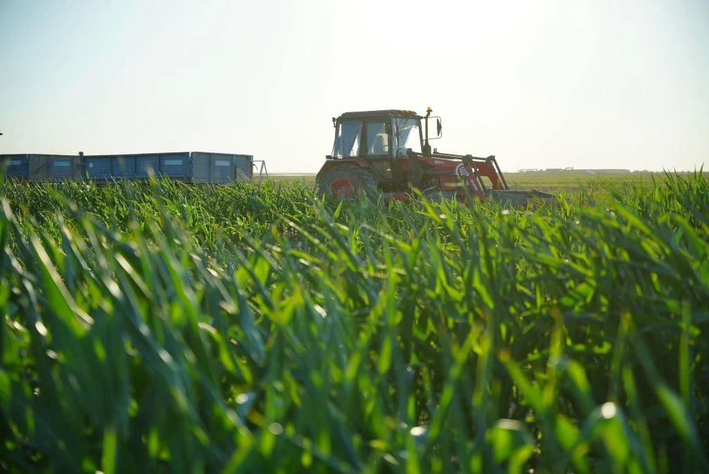Жалағашта «Harvest Agro» компаниясының агроөнеркәсіптік кластер жобасы қарқынды жүзеге асырылуда